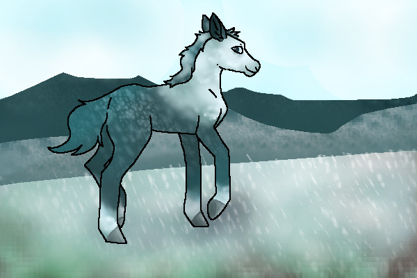 advent pony yeehaw