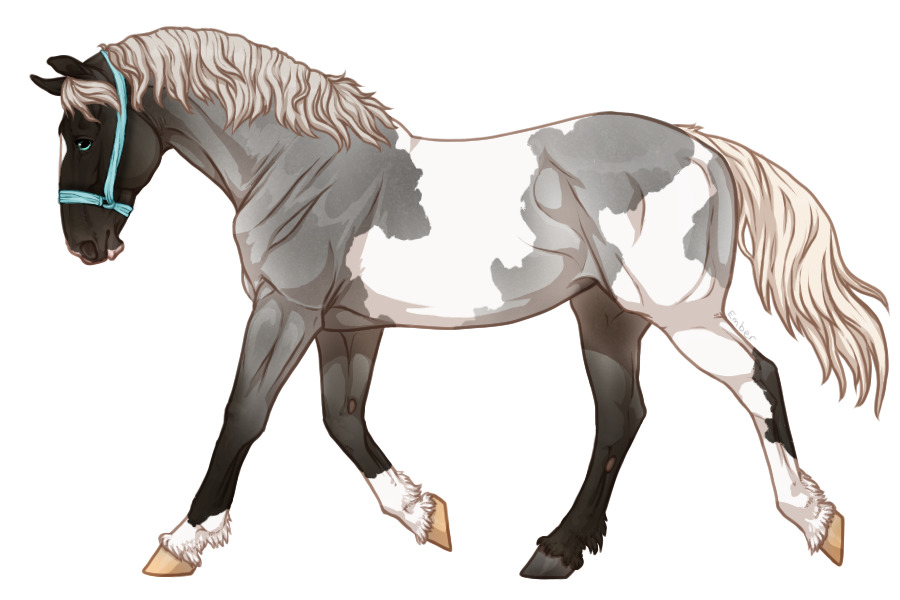 Range Trotter #F2616