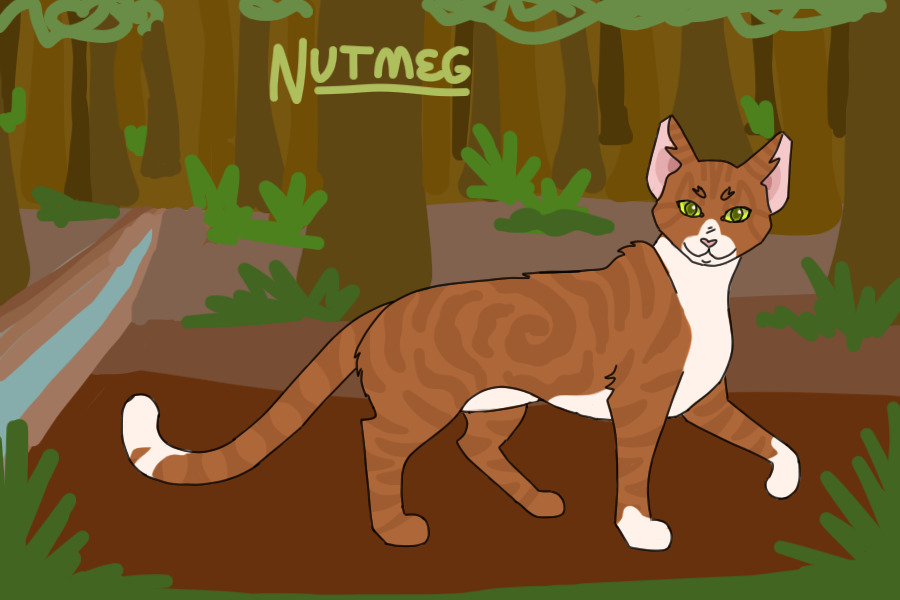 #2 - Nutmeg