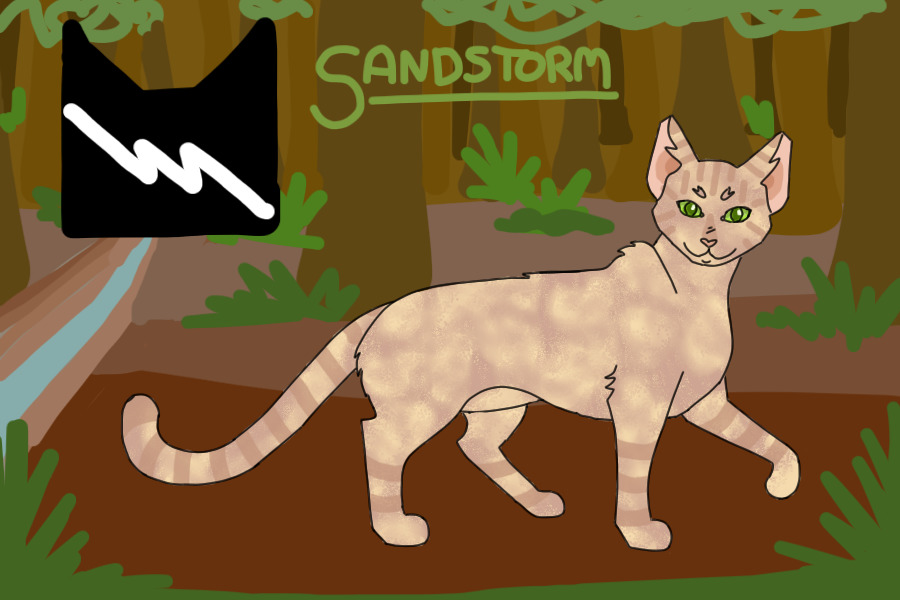 #4 - Sandstorm