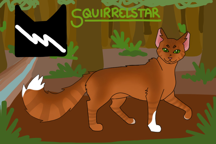 #5 - Squirrelstar