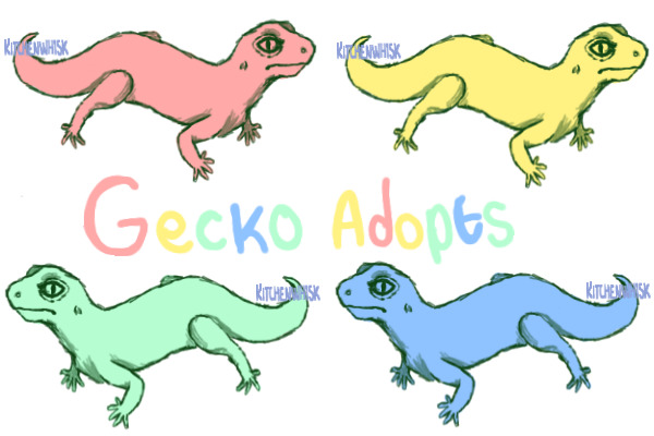 Gecko adopts (pyop and pre-made)