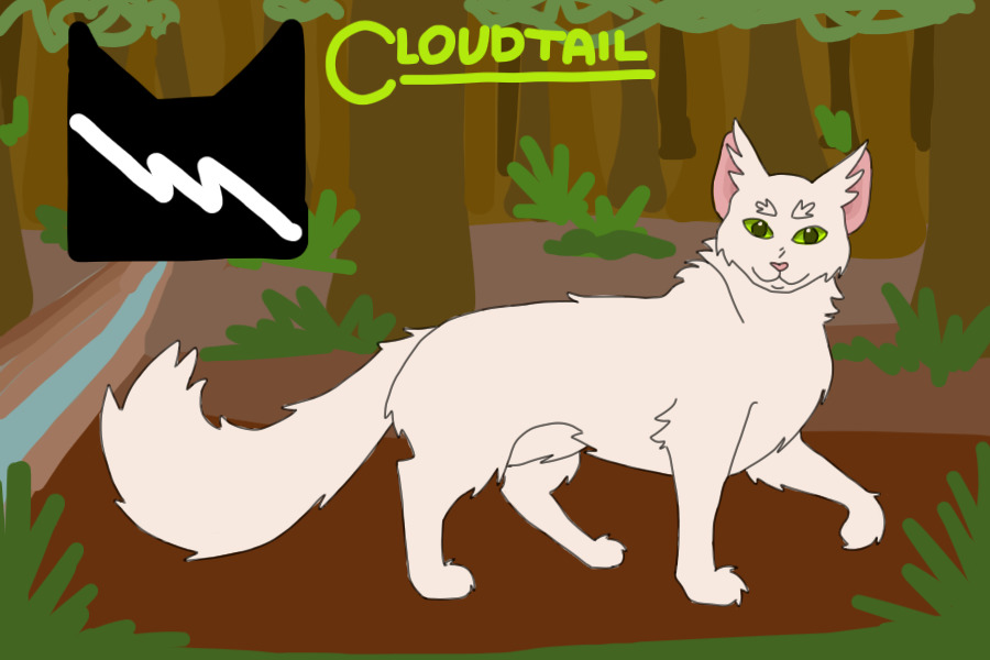 #9 - Cloudtail