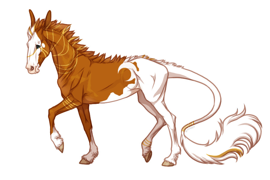 Color-in of my WME Cirrus