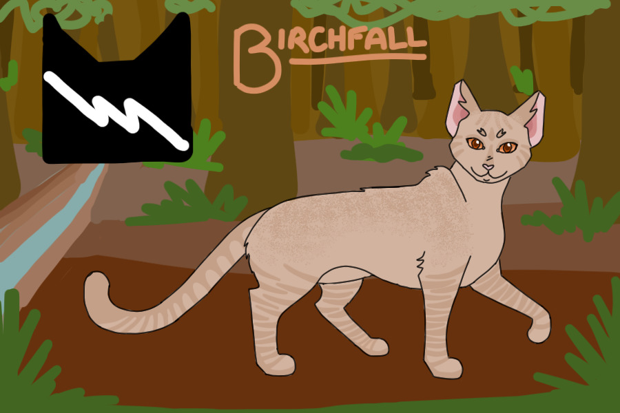 #12 - Birchfall