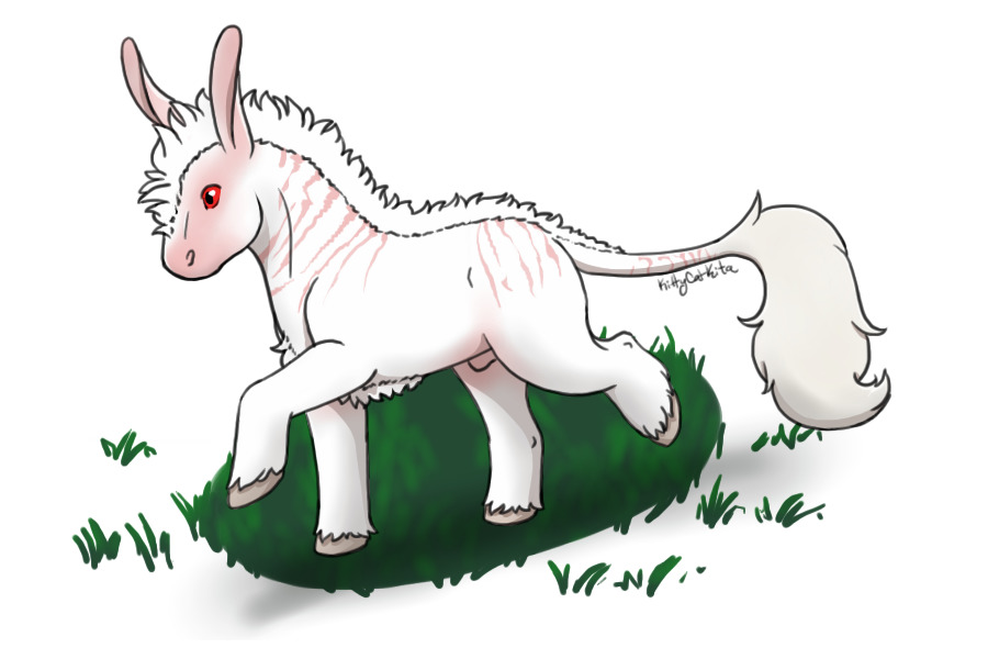 yuki strolling