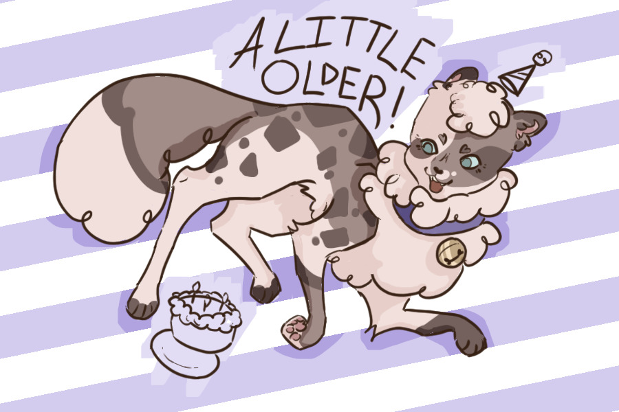 happy birthday to me