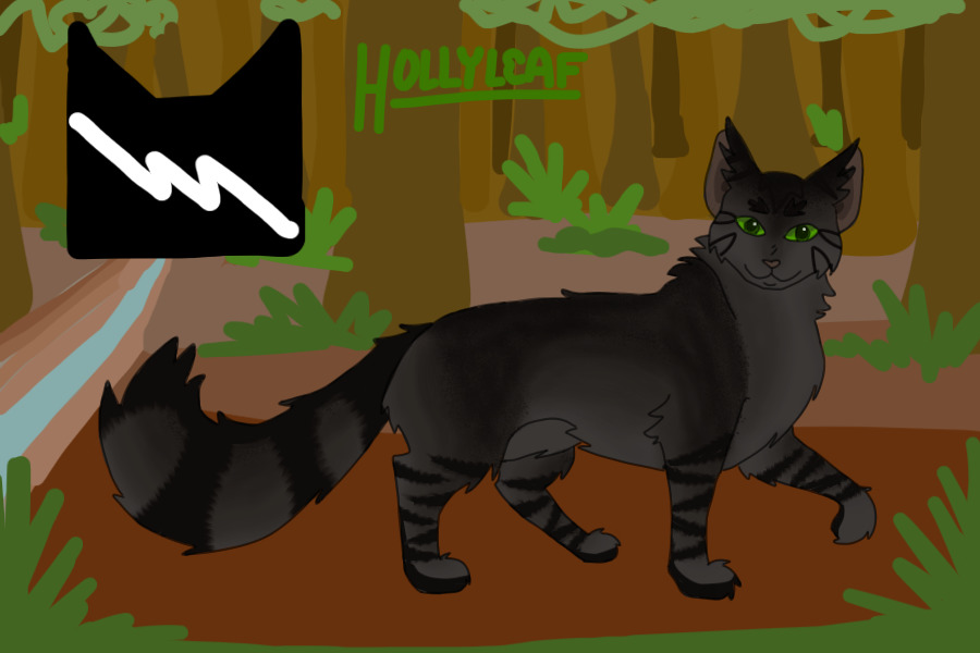 #17 - Hollyleaf