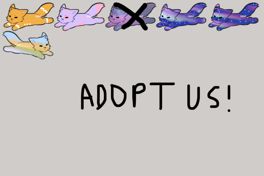 2 C$ Kitty adopts!!