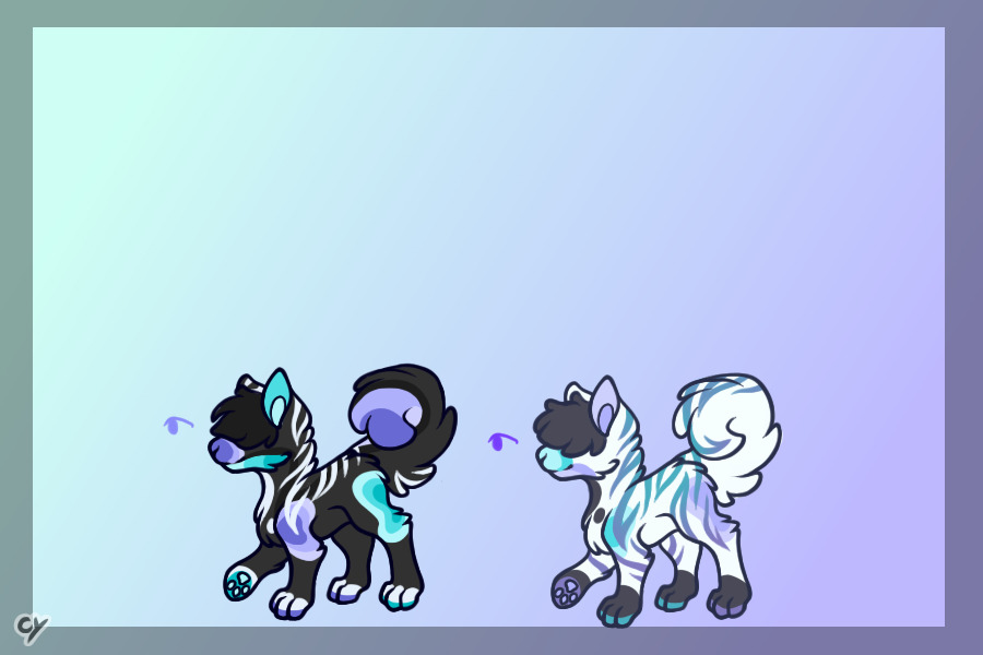 Pups