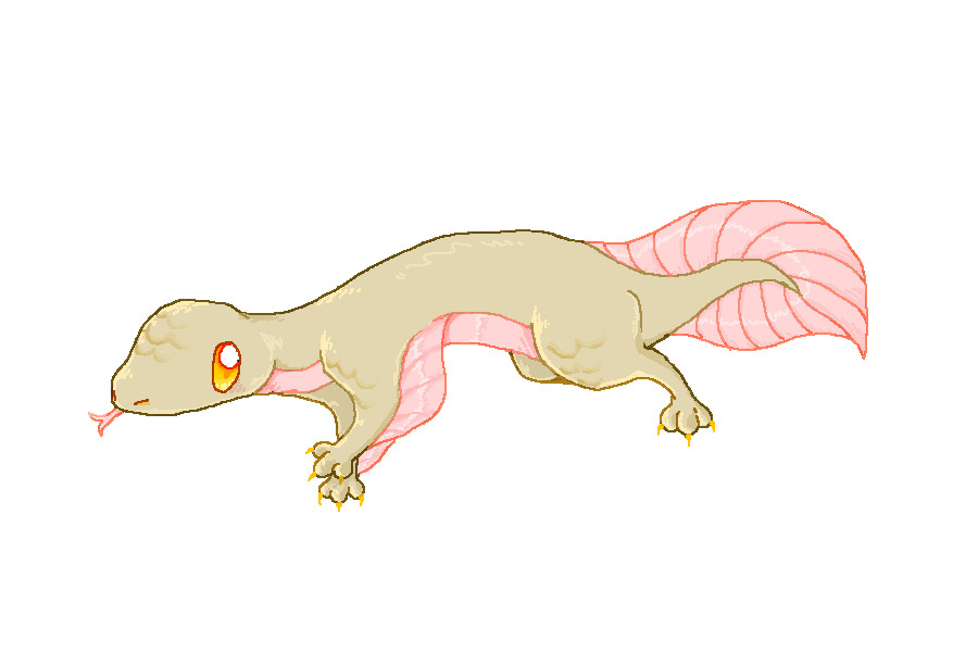 Gecko