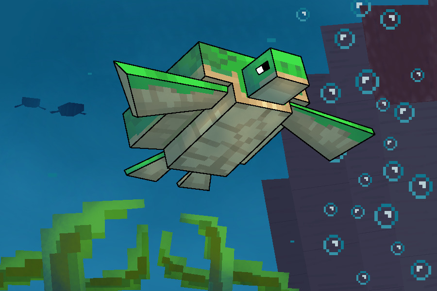 Minecraft Turtle for Today