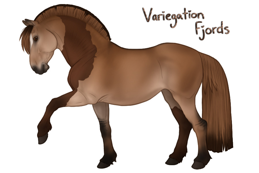 Variegation Fjords