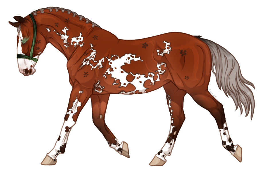 Range Trotter #4976