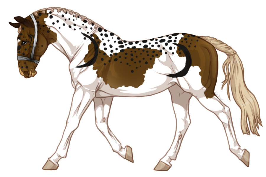 Range Trotter #4977