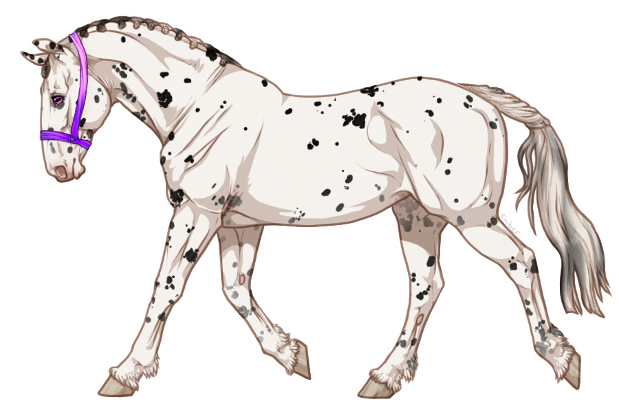 Range Trotter #4978