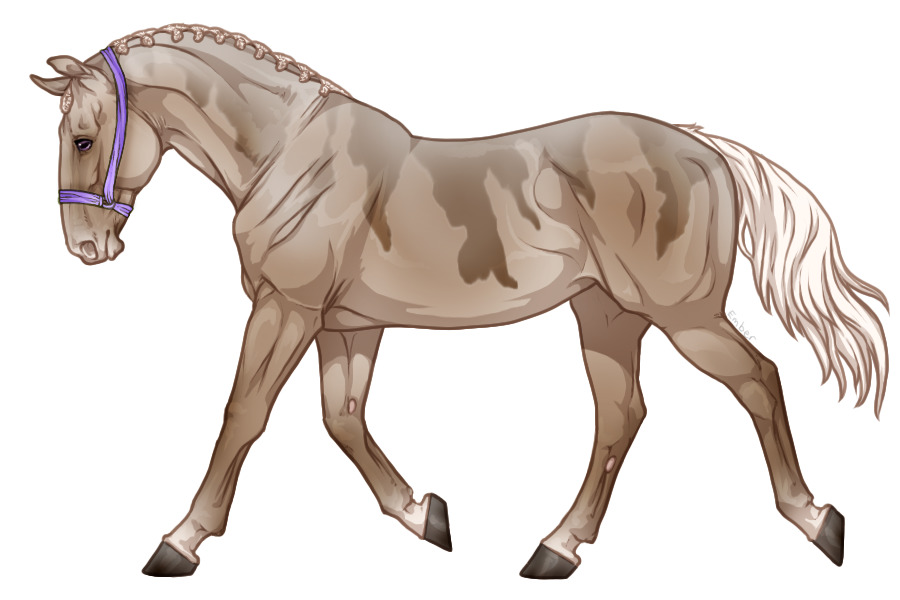 Range Trotter #4979