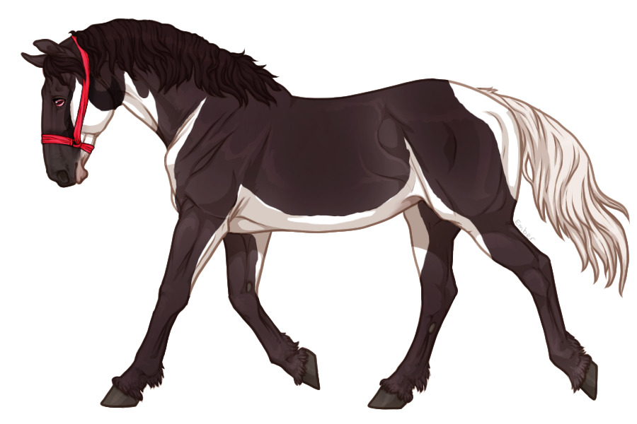 Range Trotter #4980