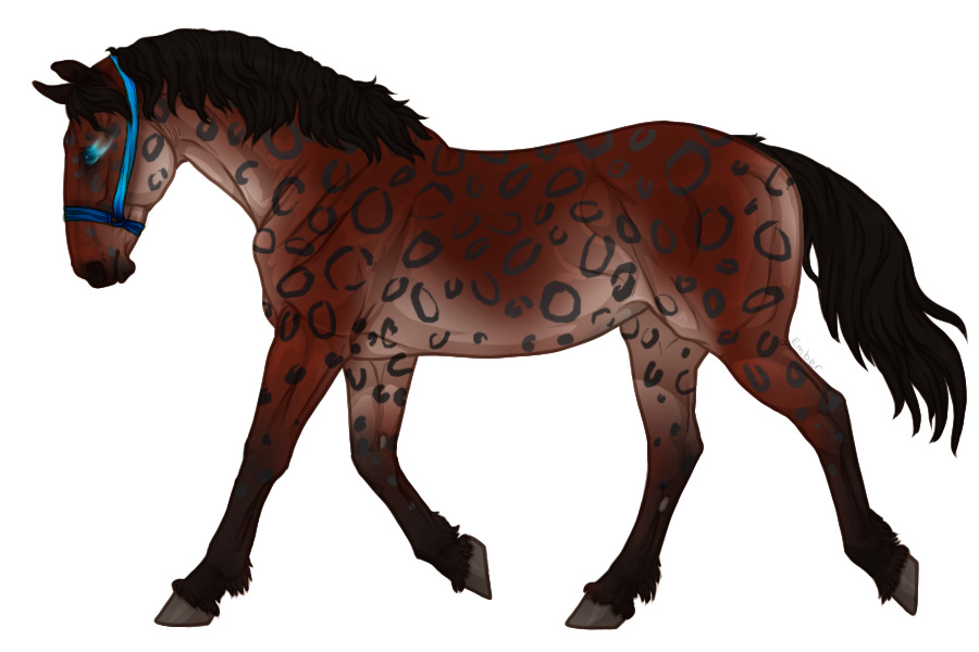 Range Trotter #4981