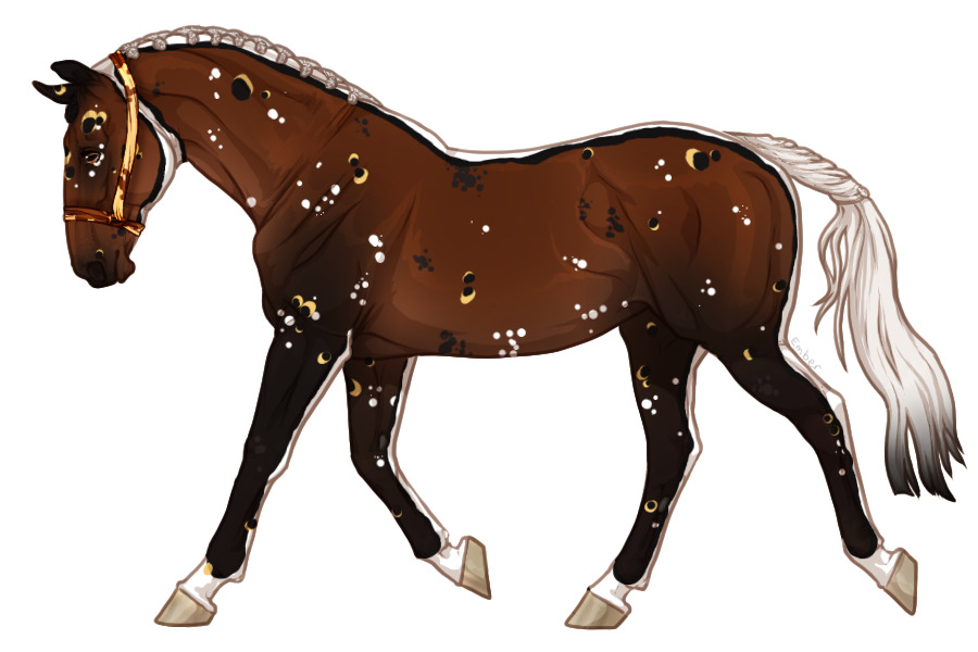 Range Trotter #4982