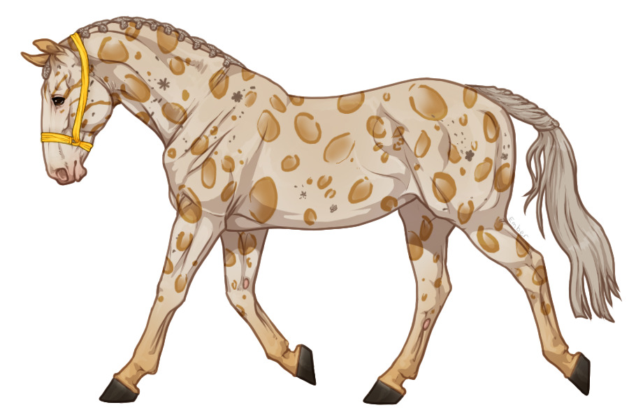 Range Trotter #4983
