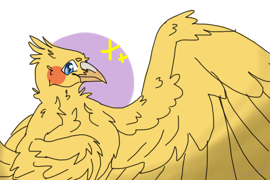 Bird thing