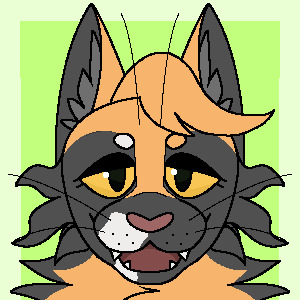 kitty