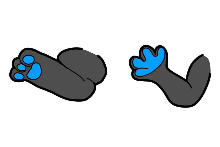 paw practice