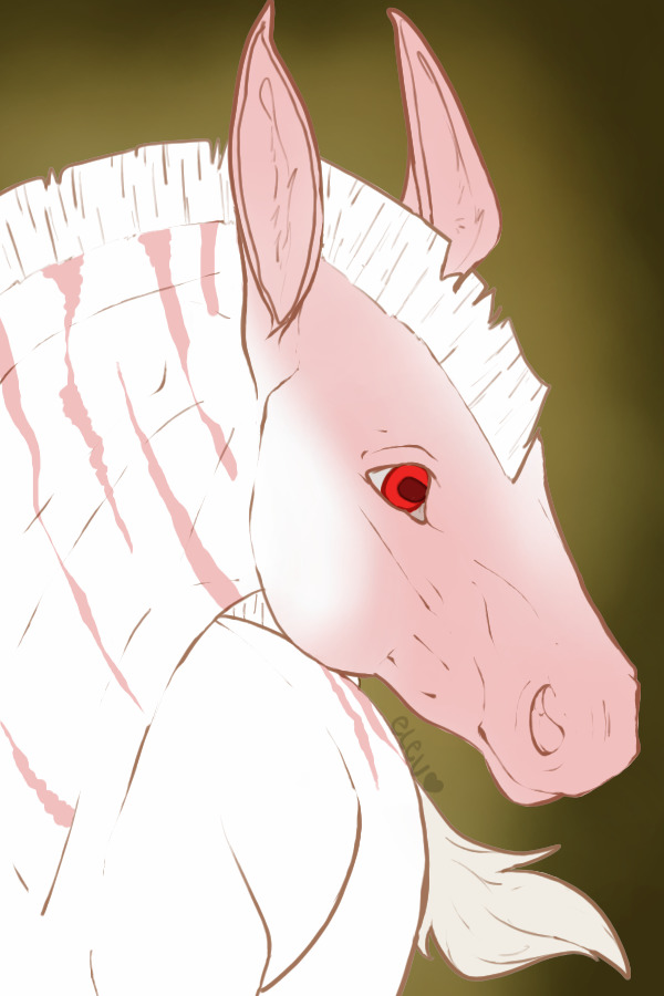 yuki