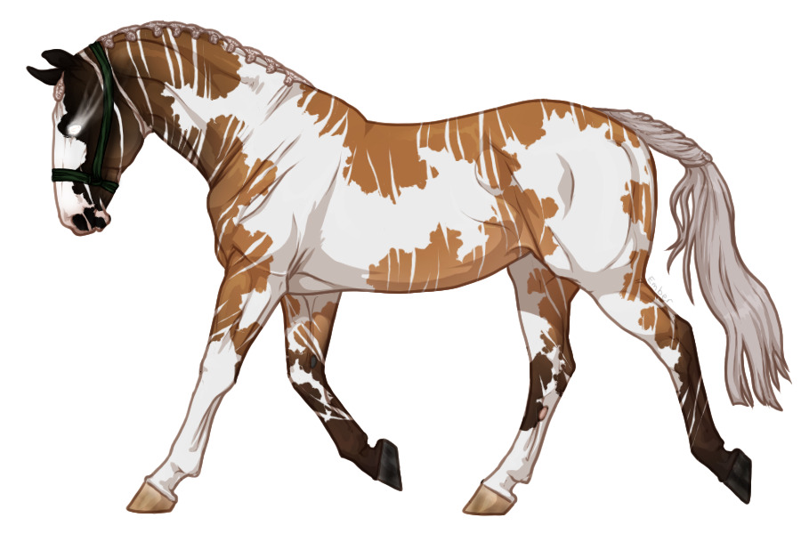 Range Trotter #4999