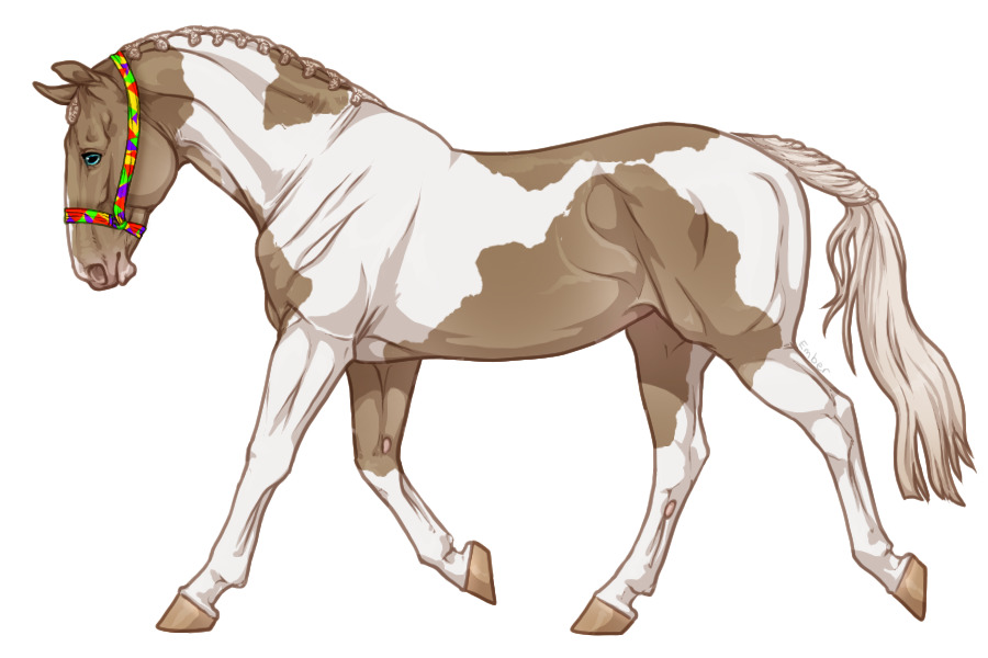 Range Trotter #4998