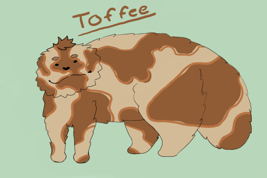 Toffee