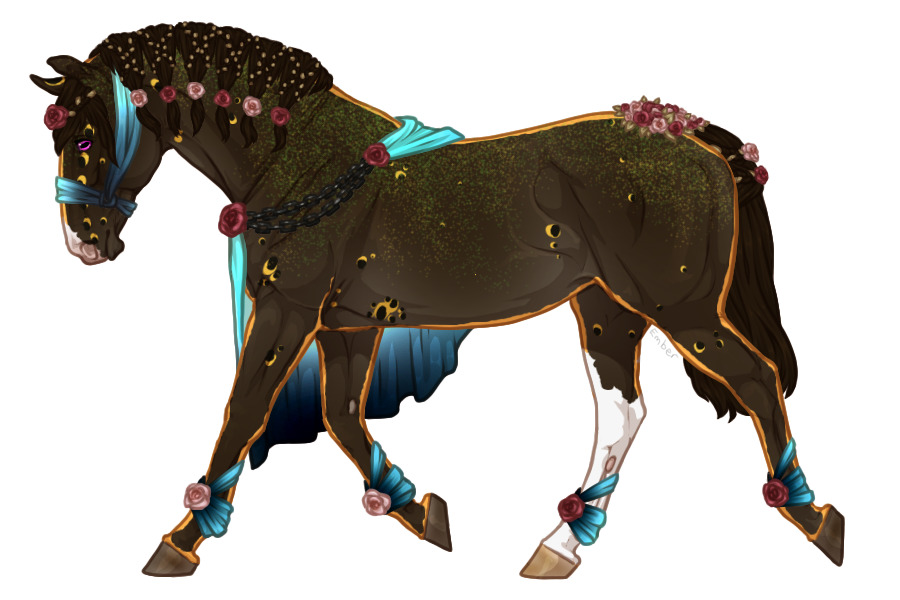 Range Trotter #5K042