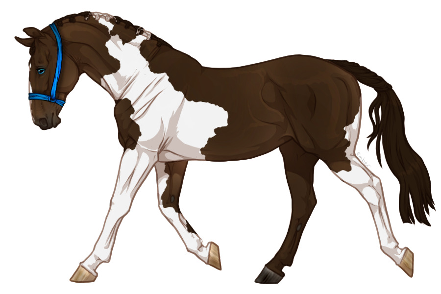 Range Trotter #5009