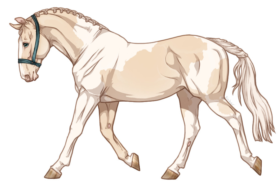 Range Trotter #5010