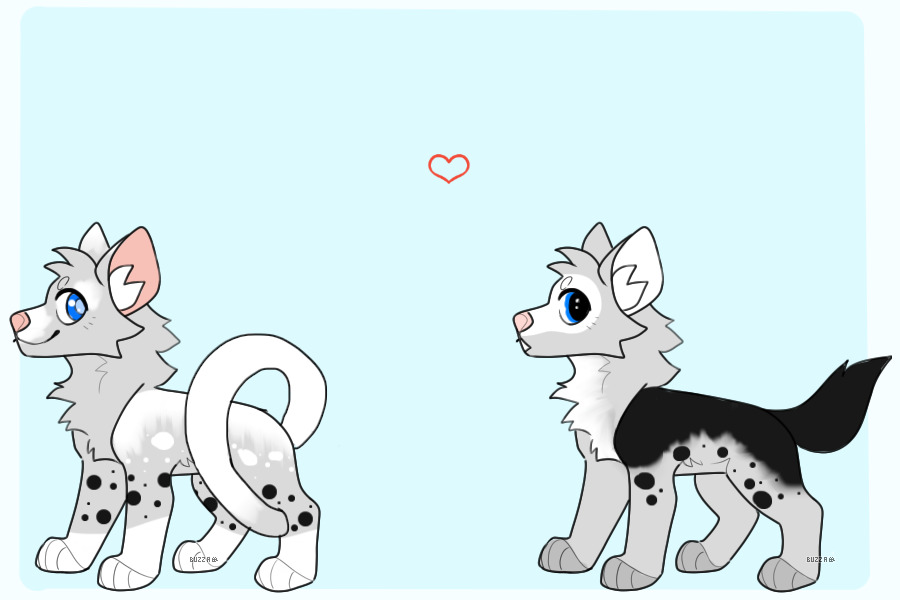 Thank you for the pups!