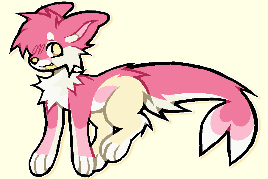 c$ auction puppy ^_^