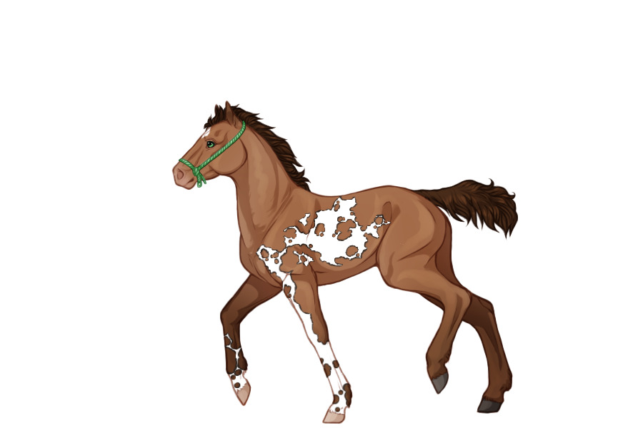 Foal ref