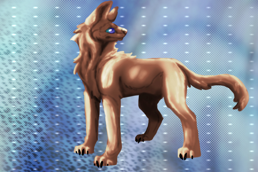 Shiny golden dog