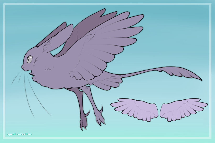 Quabil Adopts