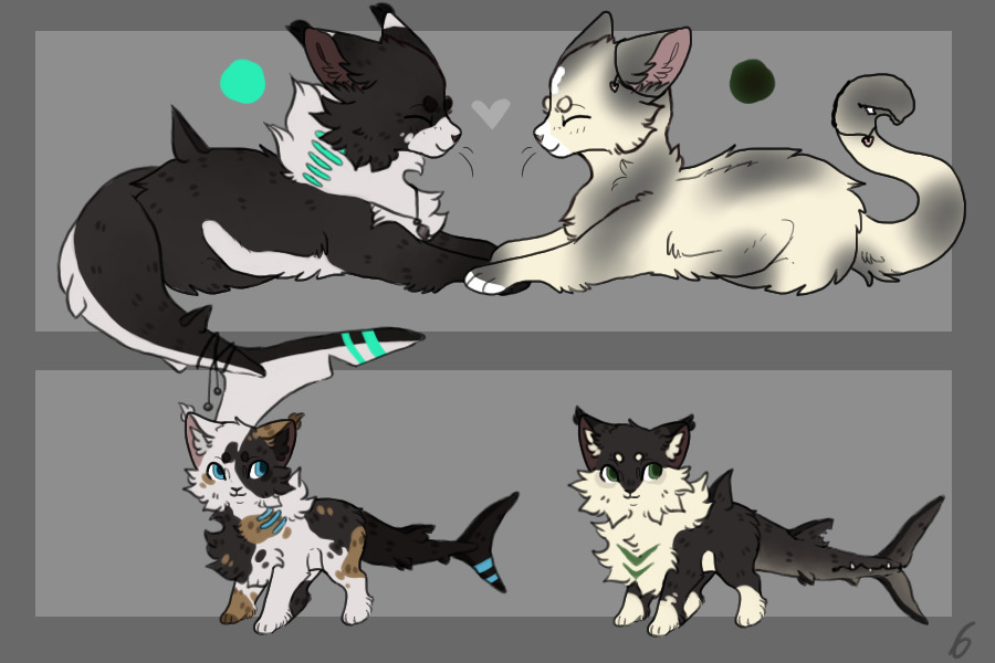 Kits for Spiritstar3!