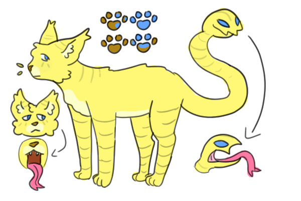 Cat adopt