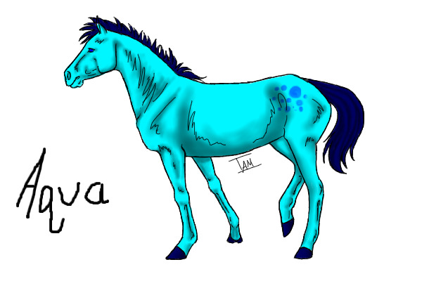 Aqua