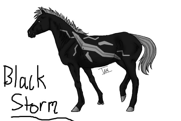Black Storm
