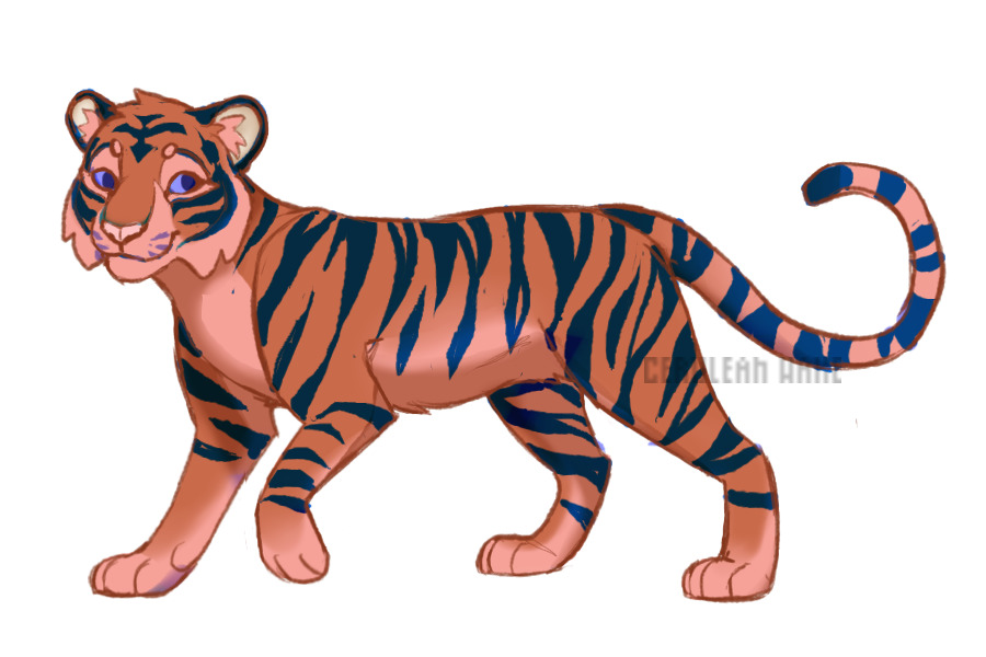ota tiger open