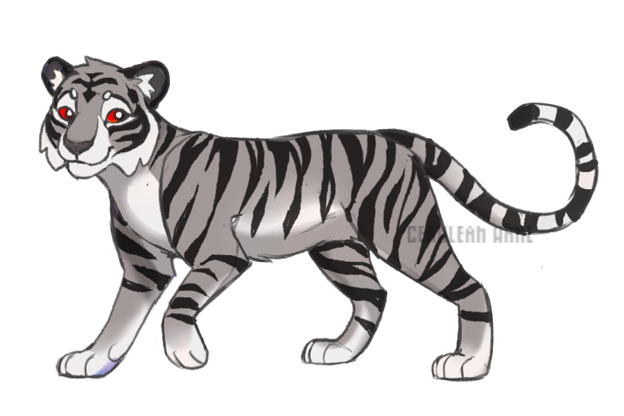 ota tiger open