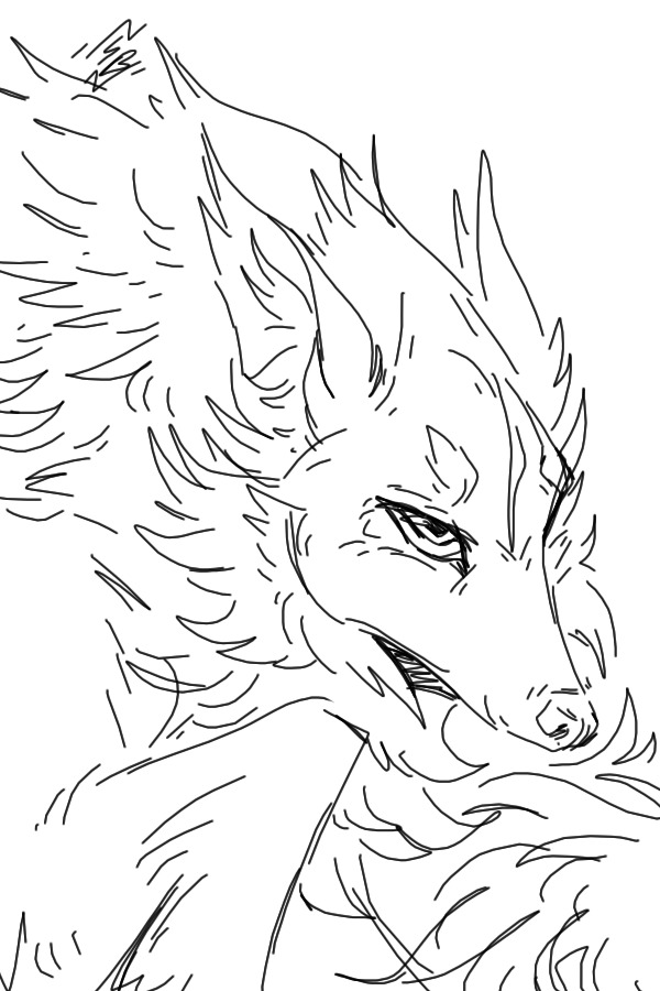 Sketch