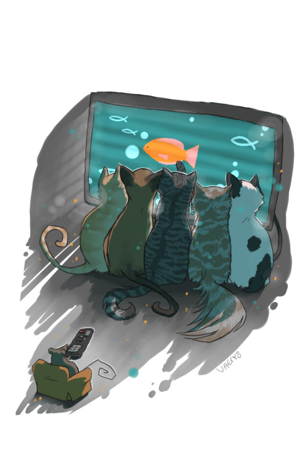Movie Night with the Cats