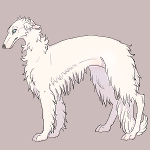 Pawxels Borzoi