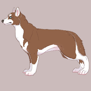 Pawxels Husky lines
